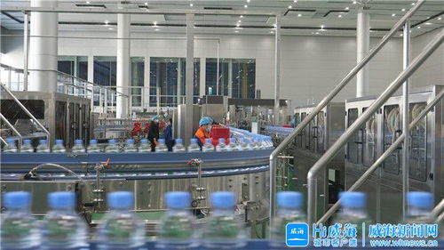 威海“雙招雙引”現(xiàn)場觀摩第十三站 健康生態(tài)飲品及全球功能性飲品研發(fā)中心項目 引領(lǐng)產(chǎn)業(yè)新未來