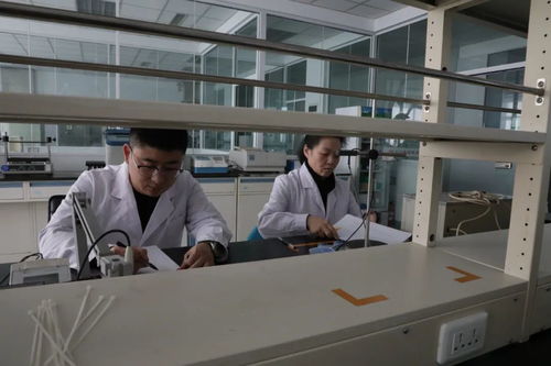 九三食品公司 每一滴都是放心油，研發與技術轉讓引領健康新食尚